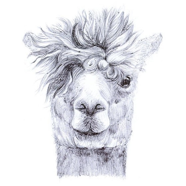 Ernie - Alpaca Print | Alpaca Portrait | Animal Art Work | Alpaca Art Work  | Farm Animal Prints | Giclée Print