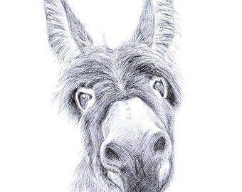 Wonky - Donkey Print | Animal Art Work | Prints | Giclée Print | Donkey Digital Print | Donkey Art Work | Donkey Portrait