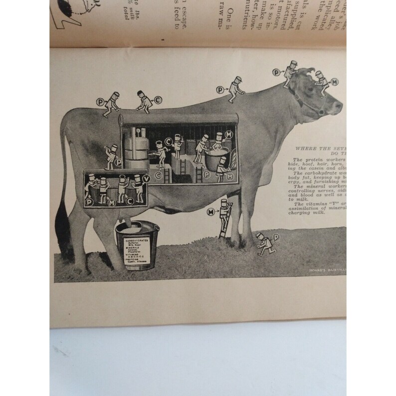 1937 the HOARD'S DAIRYMAN FEED Guide Cattle Poultry Horses Swine