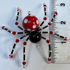Ladybug Spider