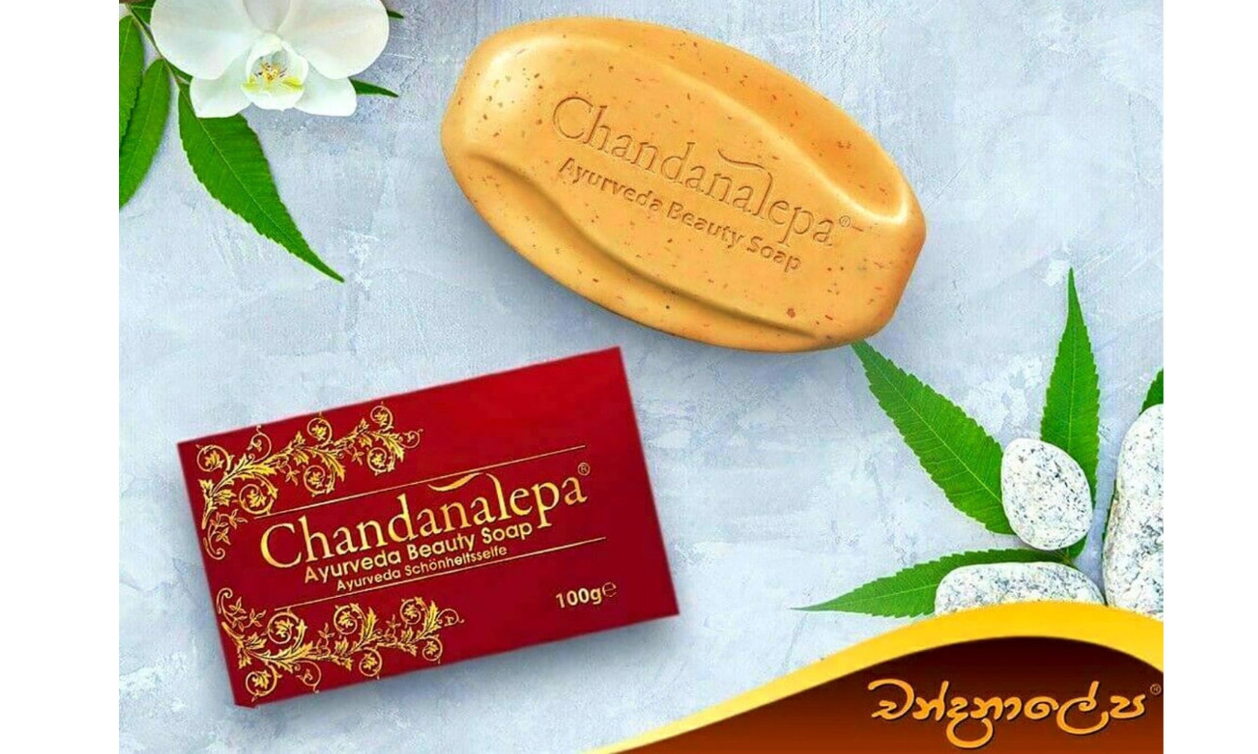 Chandanalepa Ayurveda Beauty Soap 100g Buy 5 Get 1 Free Etsy