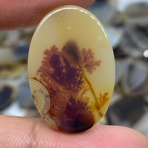 Natural Scenic Agate Cabochon, Dendritic Agate Cabochon, Scenic Dendrite Agate Cabochon, Shazar Scenic Agate, Dendritic Cabochon