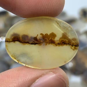 Natural Scenic Agate Cabochon, Dendritic Agate Cabochon, Scenic Dendrite Agate Cabochon, Shazar Scenic Agate, Dendritic Cabochon