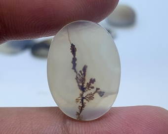 May include: Oval-shaped gemstone with a translucent, creamy white base. The stone features a striking inclusion of a dark, branching pattern resembling a miniature tree or fern. The gemstone is held between two fingers.