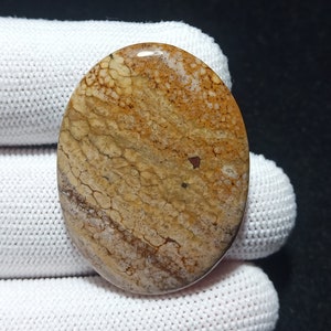 Ocean Jasper, Ocean Jasper Cabochon, Old Ocean Jasper, Orbicular Ocean Jasper, Ocean Jasper Loose, 8th Vein Ocean Jasper, Jasper Cabochon