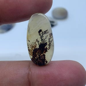 Natural Dendritic Agate Gemstone Cabochon, Shazar Dendritic Agate Loose, Dendrite Agate, Dendritic Agate Cabochon, Natural Dendrite Agate