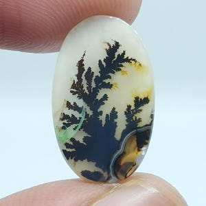 Top Quality Natural Dendritic Agate Cabochon Dendrite Agate Scenic Dendritic Agate Cabochon Dendritic Cabochon Shazar Dendrite Agate