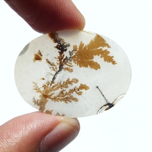 Big Size!!! Dendritic Agate Cabochon Dendritic Agate Gemstone Shazar Agate Cabochon Scenic Dendritic Agate Loose Gemstone Making For Jewelry