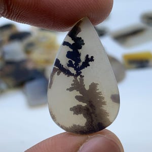 Dendritic Agate Gemstone Cabochon, Shazar Dendritic Agate Loose, Dendrite Agate, Dendritic Agate Cabochon, Natural Dendrite Agate