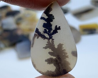 May include: A teardrop-shaped, translucent white agate cabochon with dendritic inclusions. The dendritic patterns are dark gray and resemble tree branches.
