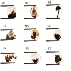 Shazar Scenic Dendrite Agate Cabochon Dendritic Agate Cabochon. Natural Shazar Dendrite Gemstone