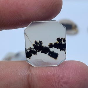 Natural Dendritic Agate Gemstone Cabochon, Shazar Dendritic Agate Loose, Dendrite Agate, Dendritic Agate Cabochon, Natural Dendrite Agate