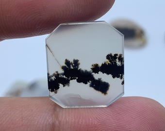 May include: A clear, octagon-shaped gemstone with black dendritic patterns. The gemstone is translucent and has a white background.