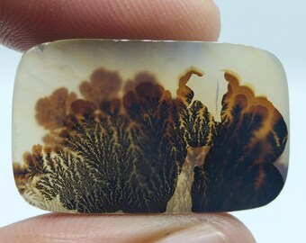 Dendritic Agate Cabochon: Scenic Octagon Gemstone (29.5x18.5x4mm)