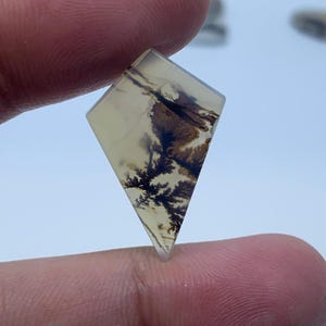 Scenic Dendritic Agate Gemstone Cabochon, Shazar Dendritic Agate Loose, Dendrite Agate, Dendritic Agate Cabochon, Natural Dendrite Agate