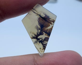 May include: A white and brown dendritic agate cabochon with a diamond shape. The agate has a white background with brown dendritic patterns.
