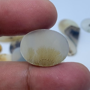 Dendritic Agate Gemstone Cabochon, Shazar Dendritic Agate Loose, Dendrite Agate, Dendritic Agate Cabochon, Natural Dendrite Agate