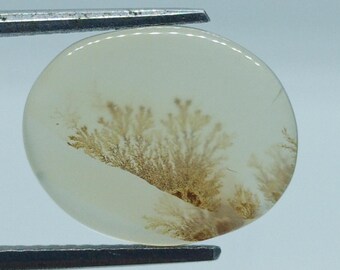 Natural Dendritic Agate: Scenic Dendrite Gemstone ( 13x10x2.5mm 2.75Cts )