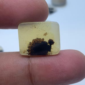 Natural Dendritic Agate Gemstone Cabochon, Shazar Dendritic Agate Loose, Dendrite Agate, Dendritic Agate Cabochon, Natural Dendrite Agate