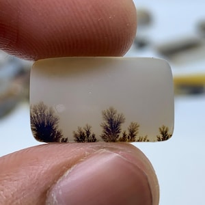 Dendritic Agate Gemstone Cabochon, Shazar Dendritic Agate Loose, Dendrite Agate, Dendritic Agate Cabochon, Natural Dendrite Agate