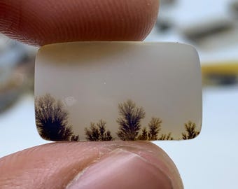 May include: A white agate cabochon with dendritic inclusions resembling trees. The agate is translucent and has a light brown color.