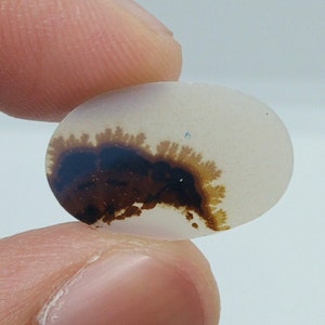 Dendritic Agate Cabochon, Dendritic Agate, Dendrite Cabochon, Scenic Dendrite Cabochon, Shazar Agate, Agate Cabochon, Scenic Agate Cabochon