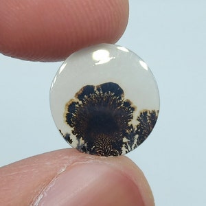 Dendritic Agate Cabochon, Dendritic Agate, Dendrite Cabochon, Scenic Dendrite Cabochon, Shazar Agate, Agate Cabochon, Scenic Agate Cabochon