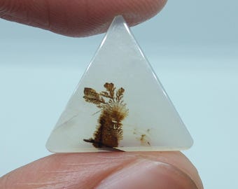 May include: A triangular, translucent white agate cabochon with brown dendritic inclusions. The agate is cut into a triangle shape and has a smooth, polished surface.