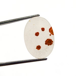Dendritic Agate Cabochon, Dendritic Agate, Dendrite Cabochon, Scenic Dendrite Cabochon, Shazar Agate, Agate Cabochon, Scenic Agate Cabochon