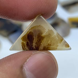 Dendritic Agate Gemstone Cabochon, Shazar Dendritic Agate Loose, Dendrite Agate, Dendritic Agate Cabochon, Natural Dendrite Agate