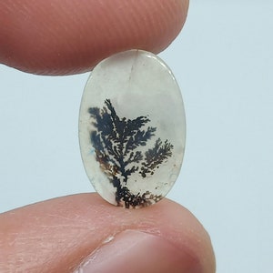 Dendritic Agate, Dendritic Agate Cabochon, Dendrite Cabochon, Scenic Dendrite Cabochon, Shazar Agate, Agate Cabochon, Scenic Agate Cabochon
