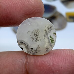 Dendritic Agate Gemstone Cabochon, Shazar Dendritic Agate Loose, Dendrite Agate, Dendritic Agate Cabochon, Natural Dendrite Agate