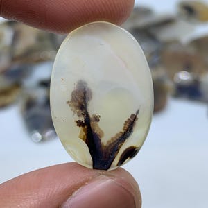 Dendritic Agate Gemstone Cabochon, Shazar Dendritic Agate Loose, Dendrite Agate, Dendritic Agate Cabochon, Natural Dendrite Agate