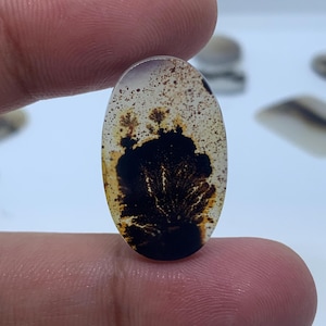 Scenic Dendritic Agate Gemstone Cabochon, Shazar Dendritic Agate Loose, Dendrite Agate, Dendritic Agate Cabochon, Natural Dendrite Agate