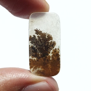 Dendritic Agate Cabochon, Dendritic Agate, Dendrite Cabochon, Scenic Dendrite Cabochon, Shazar Agate, Agate Cabochon, Scenic Agate Cabochon