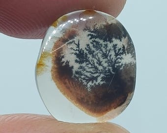 May include: A polished, oval-shaped gemstone with a clear base. The stone features a striking inclusion resembling a tree or fern in shades of black and brown. The gemstone is held between two fingers.