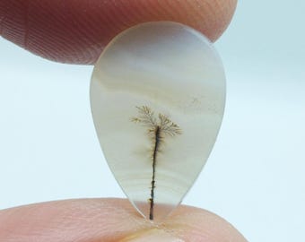 Op de afbeelding: Een druppelvormige, doorschijnende edelsteen met een dendritische insluitsel die op een boom lijkt. De steen heeft een lichtbruin boomachtig patroon tegen een melkachtige witte en heldere achtergrond. De edelsteen wordt tussen twee vingers gehouden.