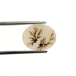 Dendritic Agate Cabochon, Dendritic Agate, Dendrite Cabochon, Scenic Dendrite Cabochon, Shazar Agate, Agate Cabochon, Scenic Agate Cabochon