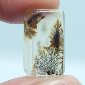 Scenic Dendritic Agate Gemstone Cabochon, Shazar Dendritic Agate Loose, Dendrite Agate, Dendritic Agate Cabochon, Natural Dendrite Agate