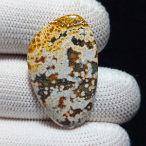 Ocean Jasper, Ocean Jasper Cabochon, Old Ocean Jasper, Orbicular Ocean Jasper, Ocean Jasper Loose, 8th Vein Ocean Jasper, Jasper Cabochon