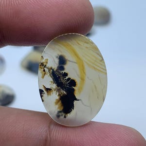 Natural Dendritic Agate Gemstone Cabochon, Shazar Dendritic Agate Loose, Dendrite Agate, Dendritic Agate Cabochon, Natural Dendrite Agate