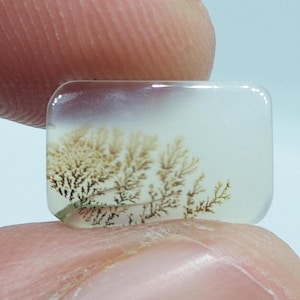 Natural Dendrite Agate Cabochon Dendritic Agate Cabochon Scenic Agate