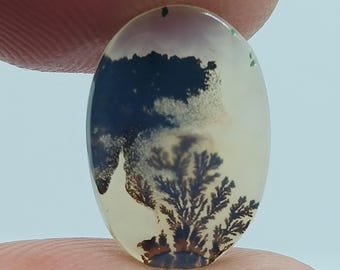 Dendritic Agate Gemstone: Scenic Dendrite Gemstone ( 14x10x2mm) 2.80Cts
