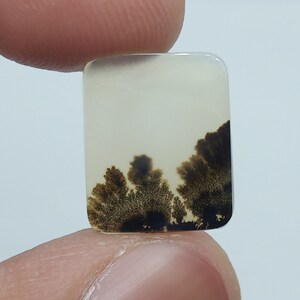 Dendritic Agate Cabochon, Dendritic Agate, Dendrite Cabochon, Scenic Dendrite Cabochon, Shazar Agate, Agate Cabochon, Scenic Agate Cabochon