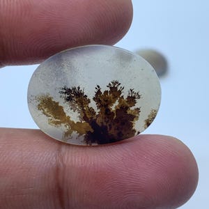 Natural Dendritic Agate Gemstone Cabochon, Shazar Dendritic Agate Loose, Dendrite Agate, Dendritic Agate Cabochon, Natural Dendrite Agate