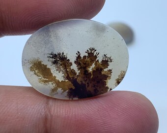 May include: A round, white agate cabochon with brown dendritic inclusions. The agate has a translucent appearance and the dendritic inclusions are in the shape of a tree.