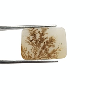 Hug Size!!! Dendritic Agate Cabochon Dendritic Agate Gemstone Shazar Agate Cabochon Scenic Dendritic Agate Loose Gemstone Making For Jewelry