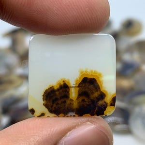 Dendritic Agate Gemstone Cabochon, Shazar Dendritic Agate Loose, Dendrite Agate, Dendritic Agate Cabochon, Natural Dendrite Agate