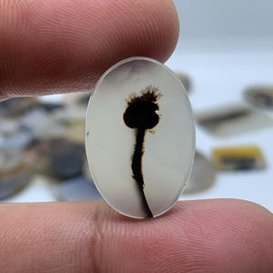 Dendritic Agate Gemstone Cabochon, Shazar Dendritic Agate Loose, Dendrite Agate, Dendritic Agate Cabochon, Natural Dendrite Agate