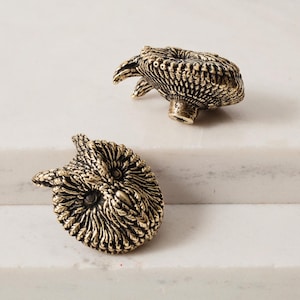 May include: Two brass-toned metal owl-shaped buttons or drawer pulls. Each piece features a detailed, textured owl face with prominent eyes and feathers. One owl is positioned facing forward, while the other is angled to show its side profile.